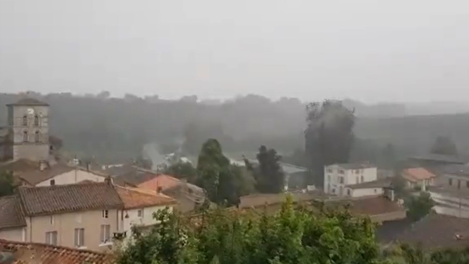 Raio atinge e destrói árvore centenária em França. Eis o vídeo do momento