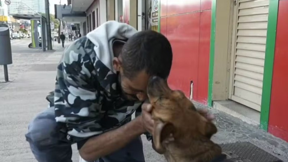 Sem-abrigo recupera cão que foi para adoção após luta em tribunal