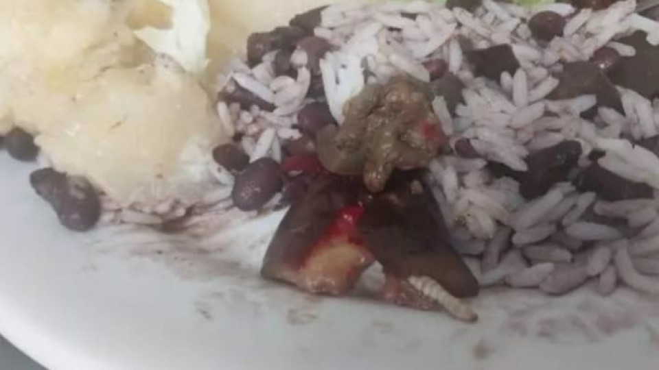 Larva é encontrada em refeição servida em hospital de Santa Catarina