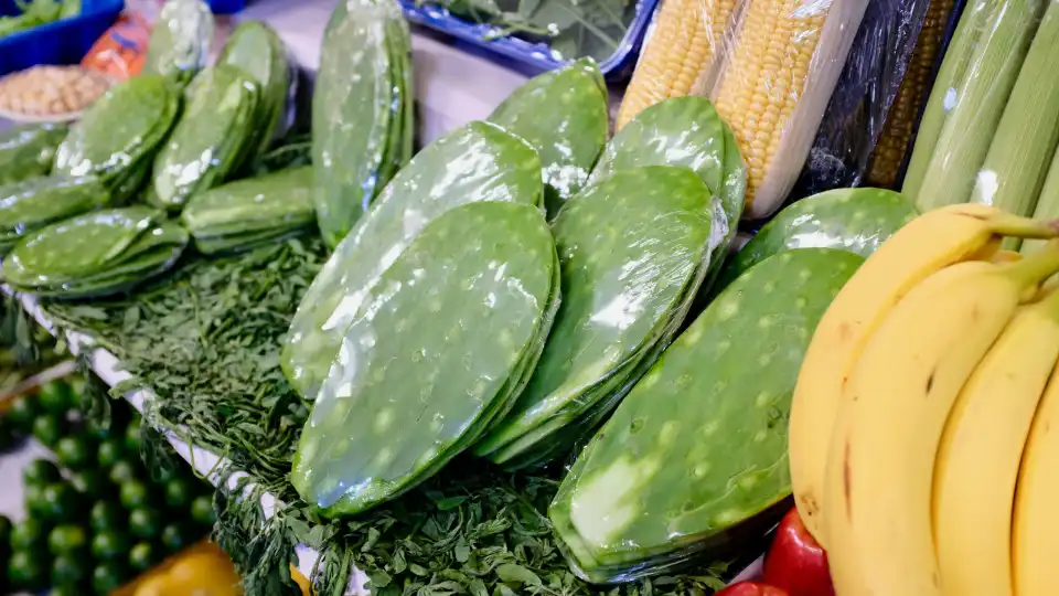 Irmãs internadas com botulismo após ingestão de conserva caseira de nopal