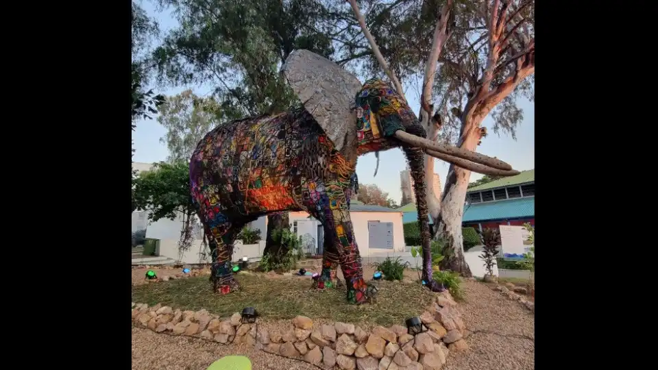 Elefante 'Madala' em Maputo para assinalar sete anos sem caça furtiva