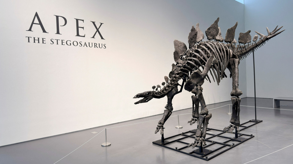 Fóssil do dinossauro 'Apex' atinge valor mais alto da história