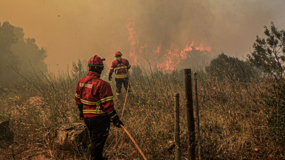 Mais de 50 concelhos de oito distritos em perigo máximo de incêndio