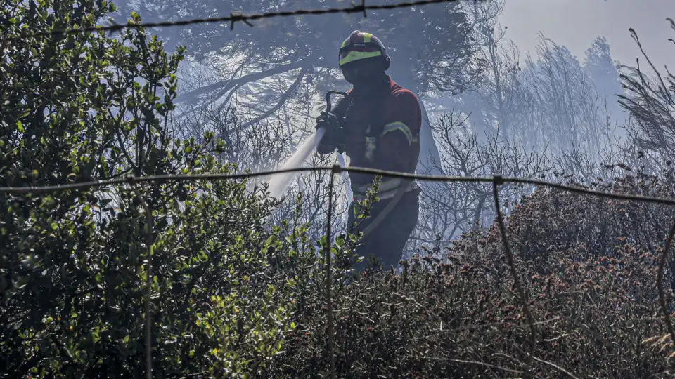 Mais de 100 operacionais combatem chamas em zona de mato em Mirandela