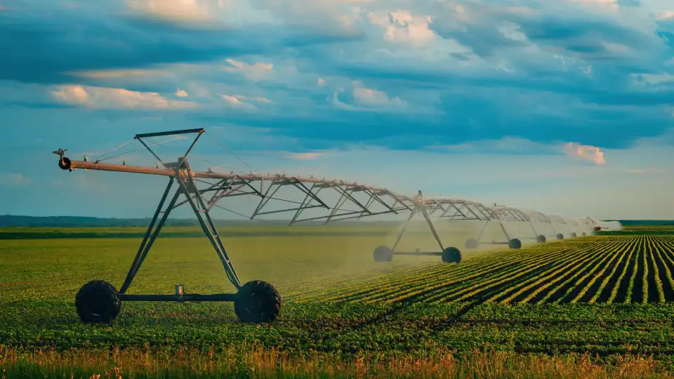 Governo aprova regulamento dos pedidos da agricultura no âmbito do PEPAC