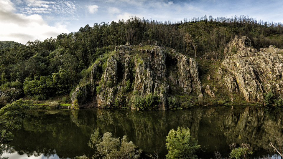 Penacova formaliza candidatura da Livraria do Mondego como monumento natural