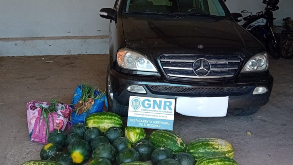 GNR detém 4 pessoas em Aljustrel por furto de melancia e cebolas