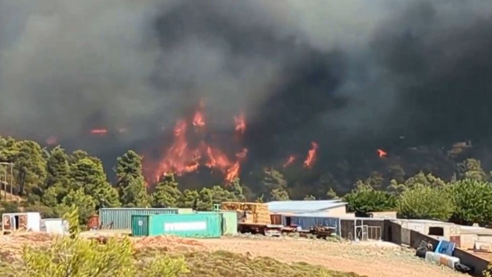 Vídeo. Incêndios perto de Atenas levam a retirada de milhares de pessoas