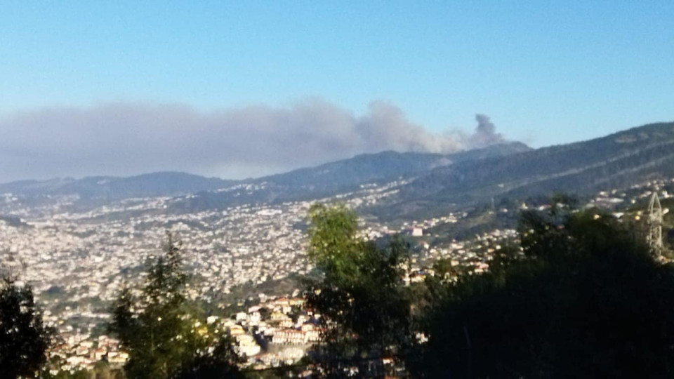 Fogo na Madeira. Fechadas estradas de acesso ao planalto do Paul da Serra