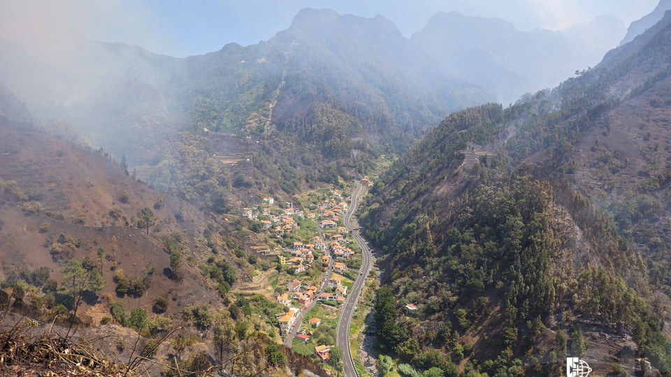 Madeira. Campanhas de arborização são normalmente a "pior das opções"