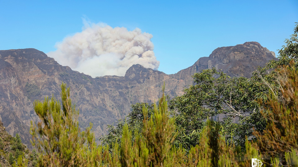 Madeira mantém-se sob aviso amarelo de calor e em perigo de incêndio