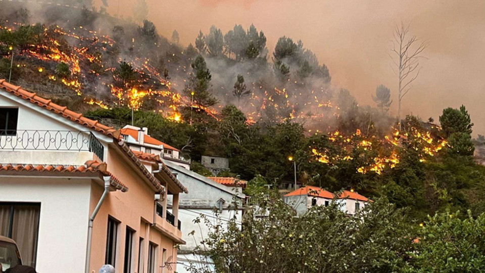 Madeira. Onde fogo começou, a população procura olhar em frente