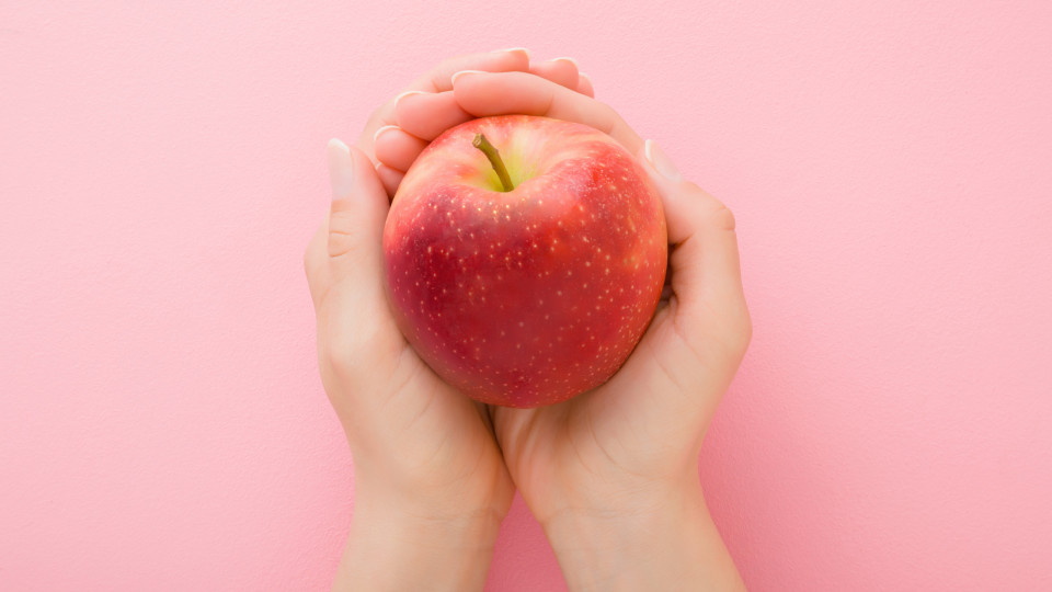 Nutricionista sugere lanches práticos para o regresso às aulas