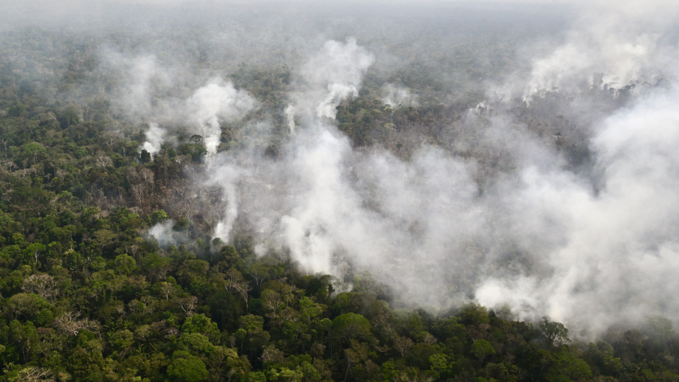 Nuvem de fumo de incêndios na Amazónia cobre dez estados brasileiros