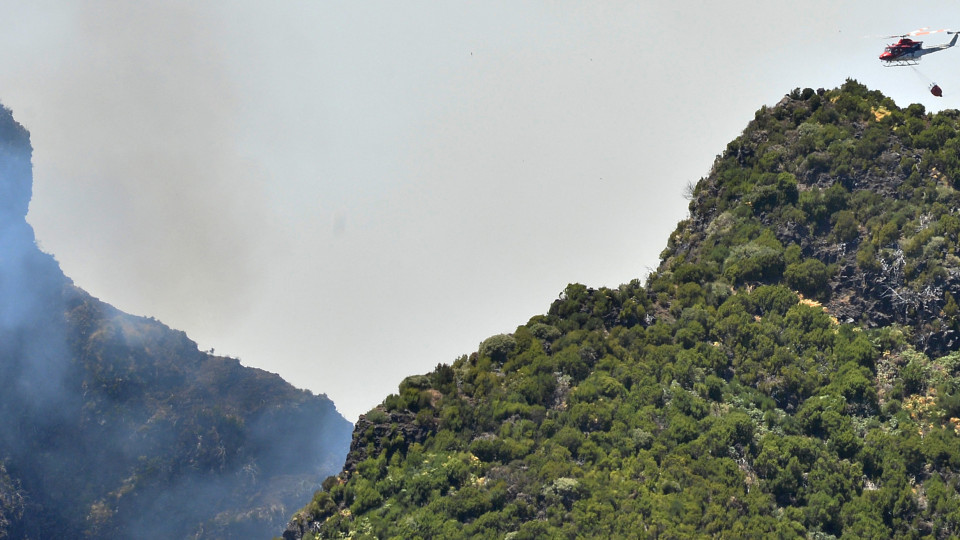 Madeira. GEOTA defende plano para estabilizar solos antes das chuvas