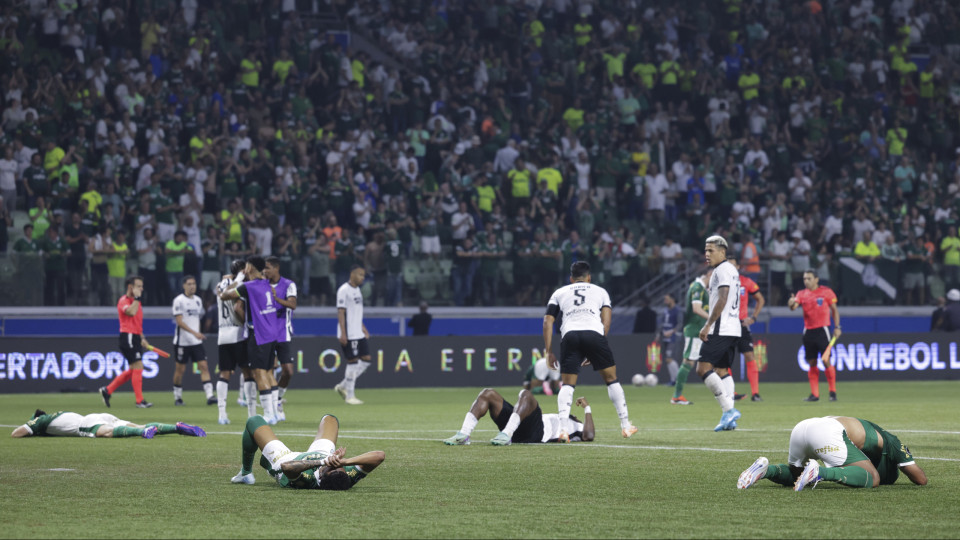 Botafogo 'pica' Palmeiras após drama na Libertadores com... um porco