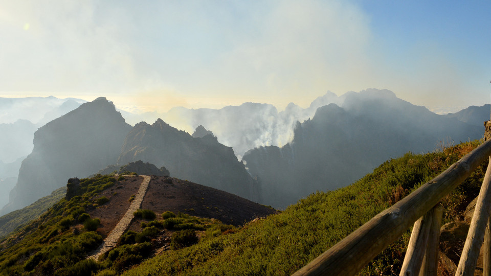 Madeira. Zero pede relatório urgente a fogos para medidas antes da chuva