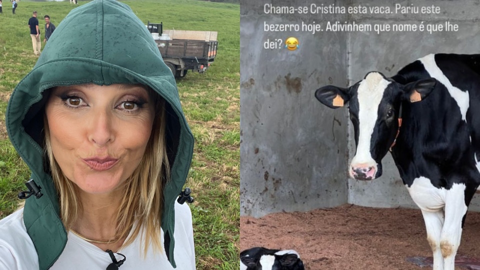 Cristina Ferreira batiza bezerro da "vaca Cristina": "Adivinham o nome?"