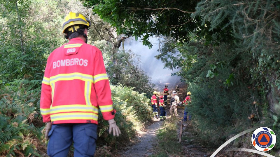 Autarca da Ribeira Brava quer mais meios de combate em zonas sensíveis