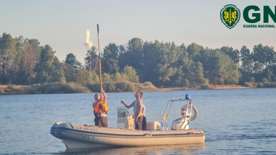 Garça "emaranhada em fios de pesca" recolhida pela GNR em Castelo Branco