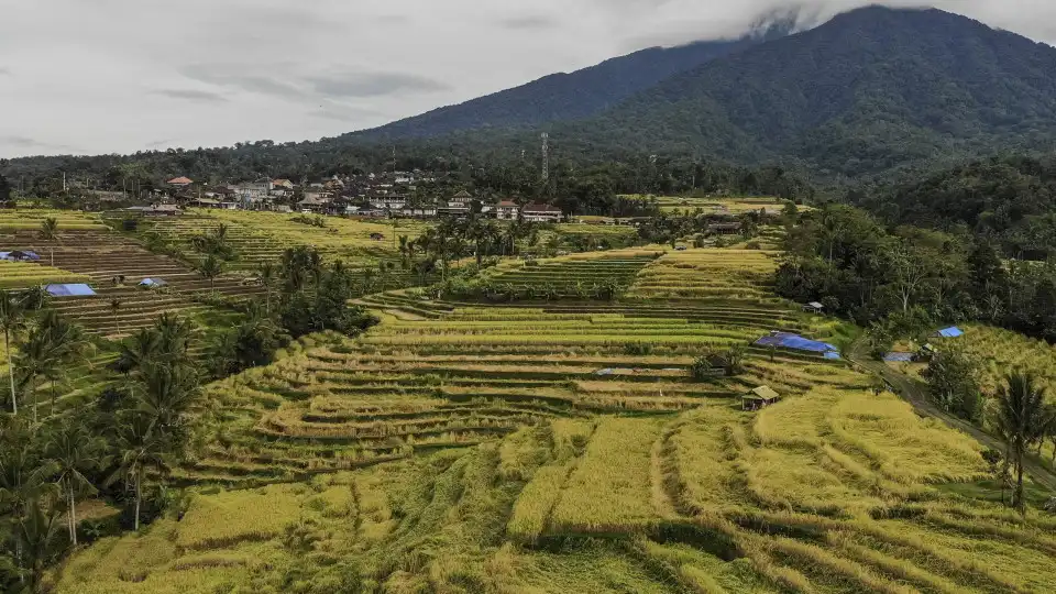 Adolescente francês desaparecido em Bali há uma semana. "Caiu da ravina"