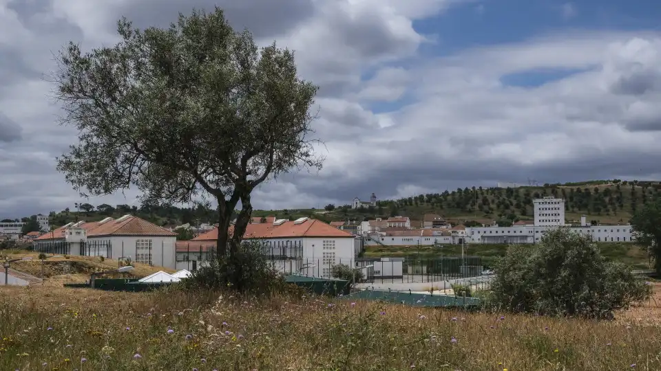 Guardas culpam Parlamento por fuga de Vale de Judeus. "Fomos abandonados"