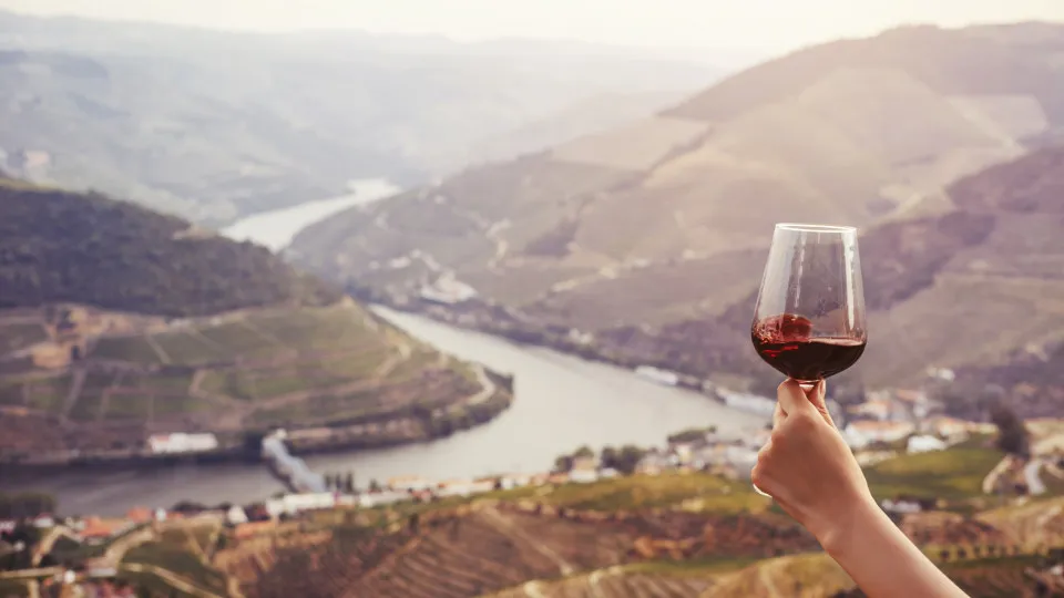 vinho do porto