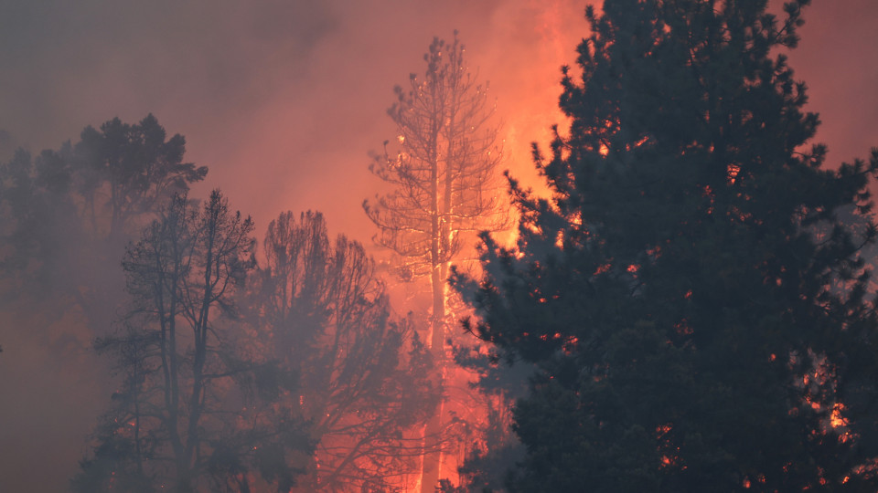 Pessoas feridas e casas consumidas por incêndio na Califórnia. As fotos