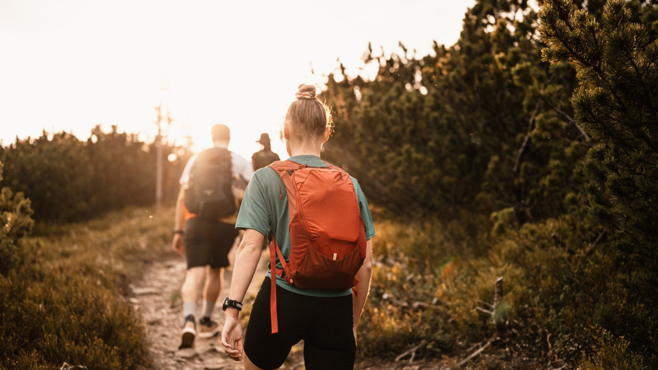 Faz trilhos e caminhadas? Siga estas dicas para se proteger das carraças