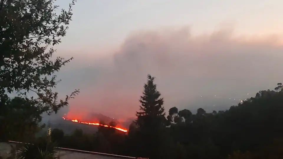 Sever do Vouga com reacendimentos. Fogos combatidos por 698 homens