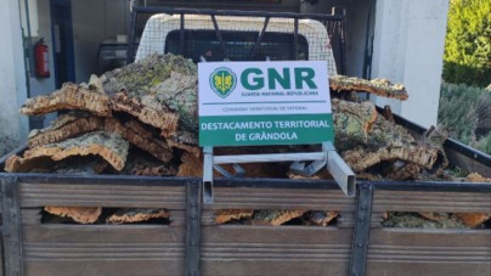 GNR apreende 200 quilos de cortiça furtada em Alcácer do Sal