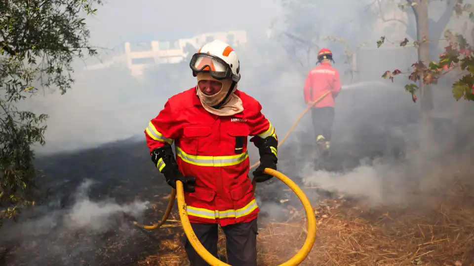 Homem de 75 anos detido por autoria de um incêndio florestal em Pombal