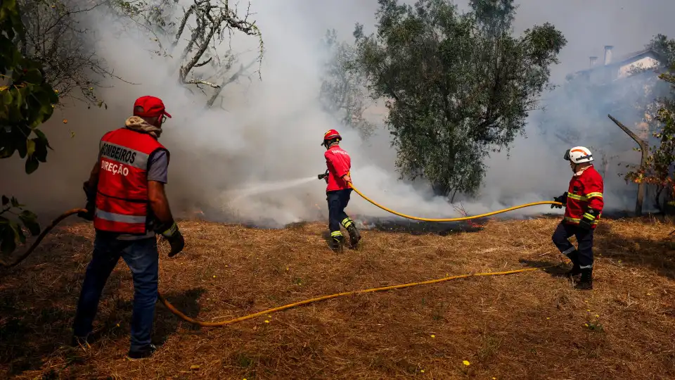 Coimbra contabiliza 130 hectares destruídos pelos fogos