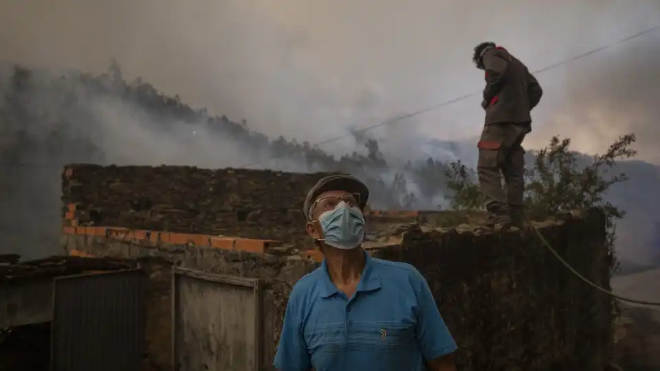 Desespero e destruição. As imagens do fogo em Albergaria-a-Velha