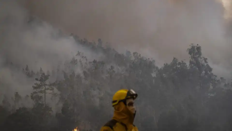 Associação Florestal do Baixo Vouga cancela comemorações dos 25 anos