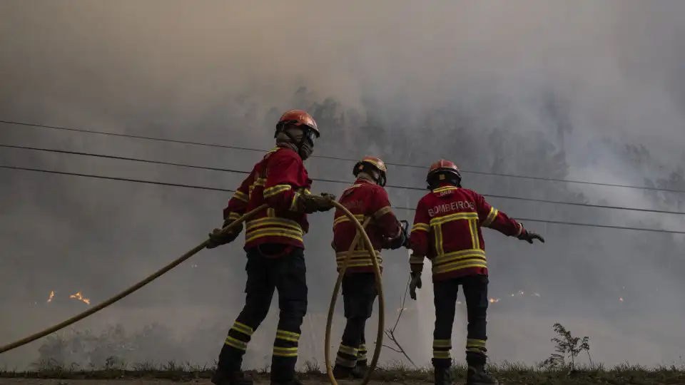 PJ detém suspeito de atear vários fogos em Albergaria-a-Velha