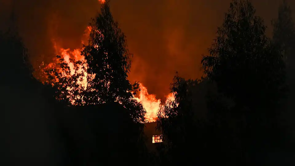  Chamas quase dominadas em Coimbra, diz Proteção Civil