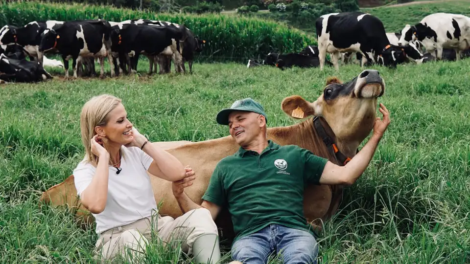 Hilariante! Vídeo mostra sustos de Cristina Ferreira com vaca nos Açores