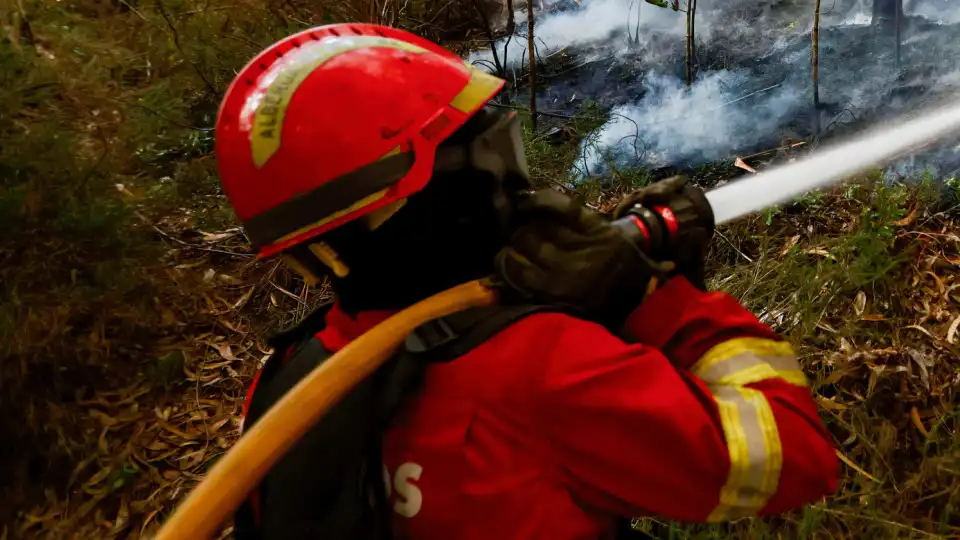 CCDR-N já tem verbas disponíveis para apoiar pessoas afetadas pelos fogos