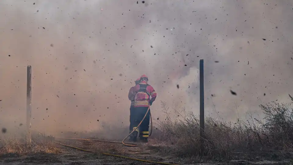 "Hora de dor". Bispo de Viseu solidário com vítimas de incêndios