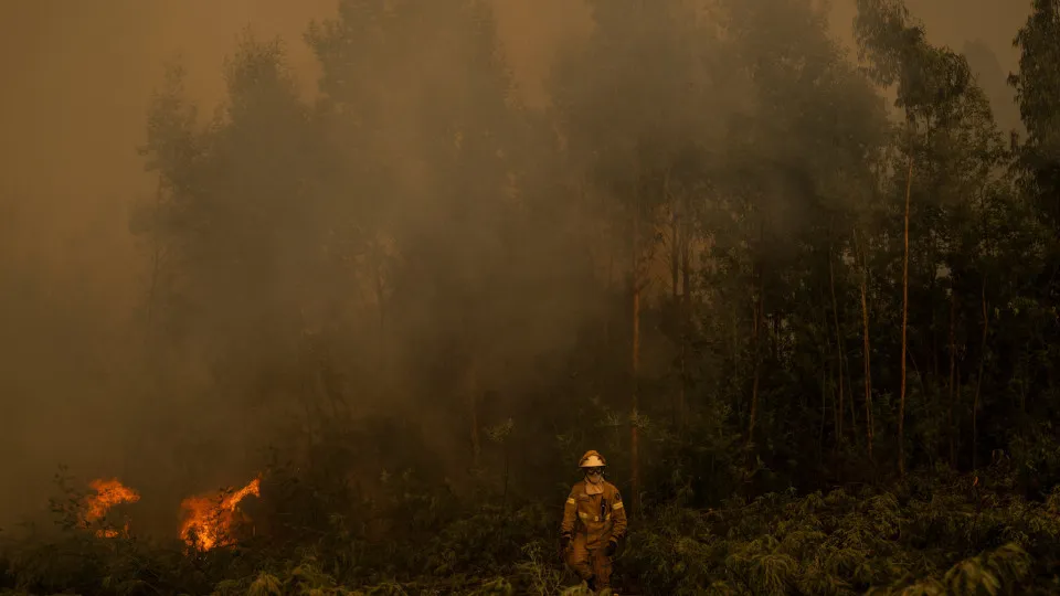 Incêndios em Portugal