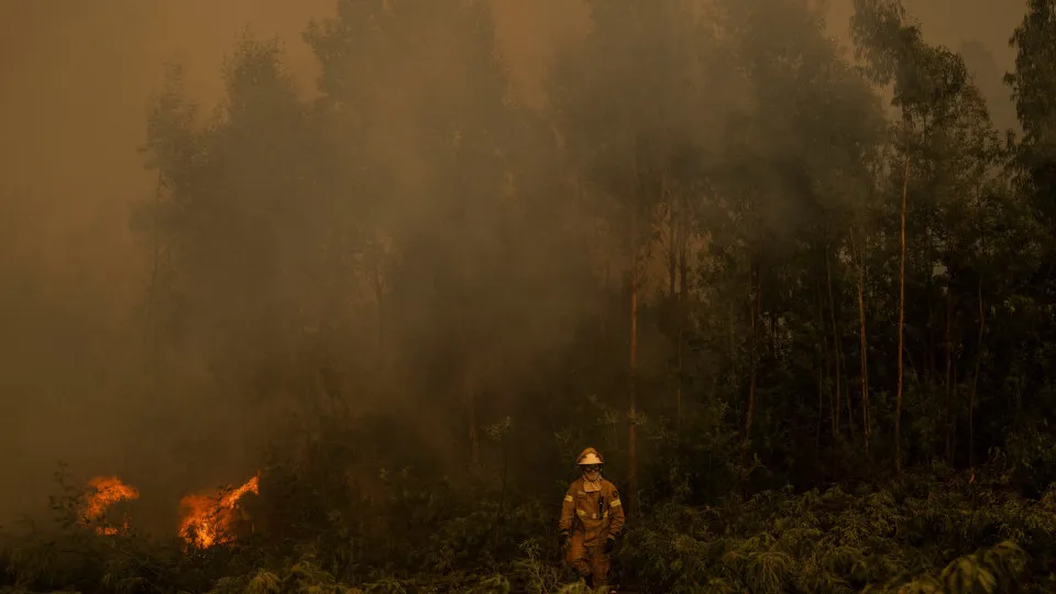 Incêndios em Portugal
