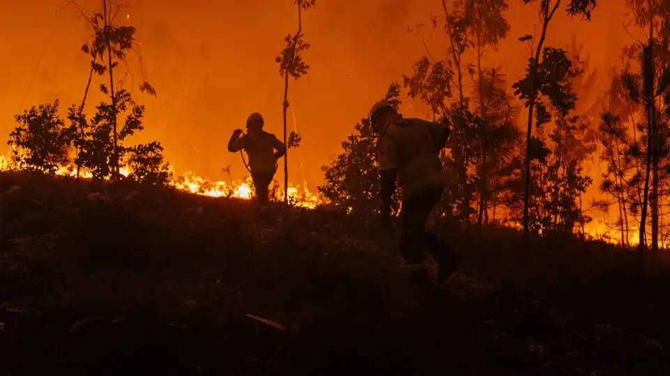 Uma frente ativa em Tábua sem povoações na linha de fogo