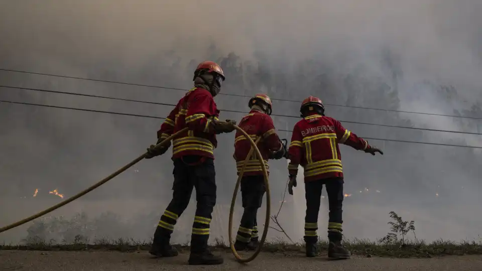 Chamas dominadas em Carregal do Sal depois de noite de combate