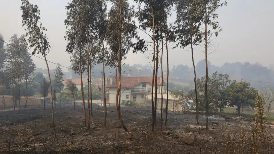 Frentes de fogo em São Pedro do Sul aniquiladas e regressa a normalidade