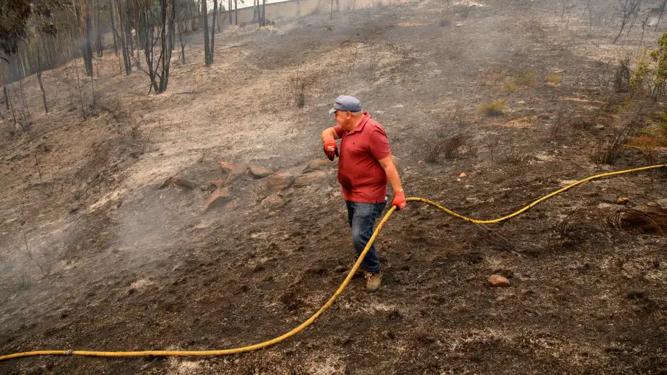 Fogos de Peso da Régua e de Alijó em resolução