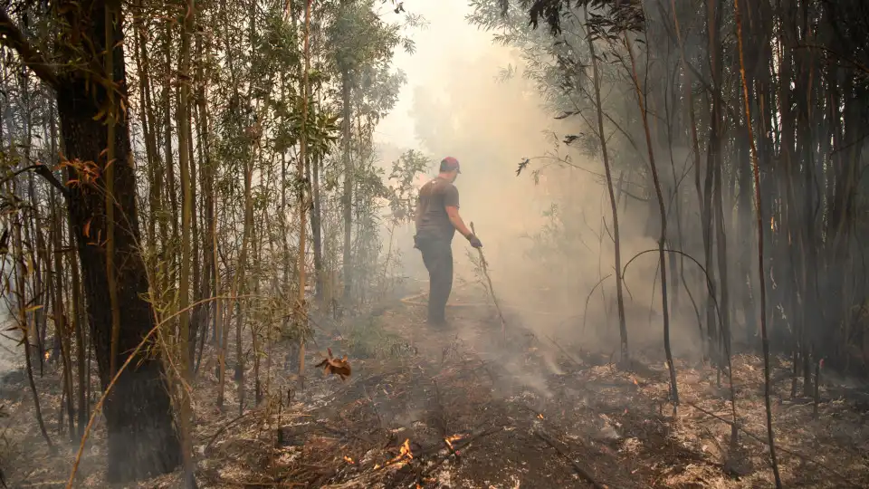 Imagens mostram rasto de destruição dos incêndios em vários concelhos