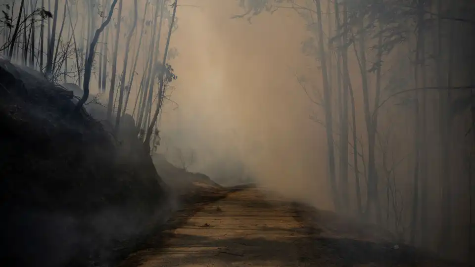 Há apenas 1 concelho em perigo máximo de incêndio (e temperaturas descem)