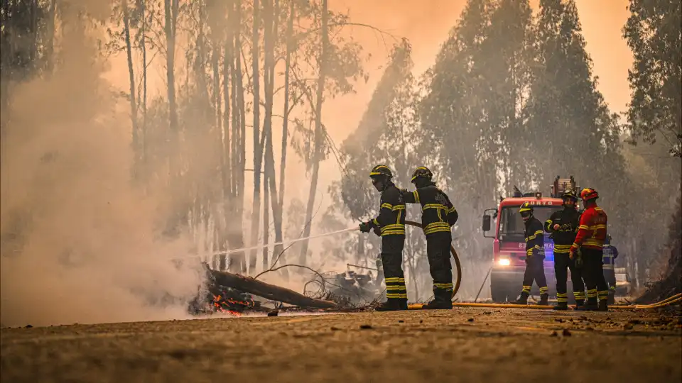 Fogos fizeram estragos de 5,3 milhões em Arouca (350 mil nos passadiços)