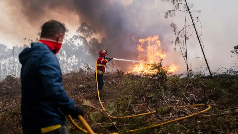 Entrou em resolução fogo no Alto de Fiães em Alijó